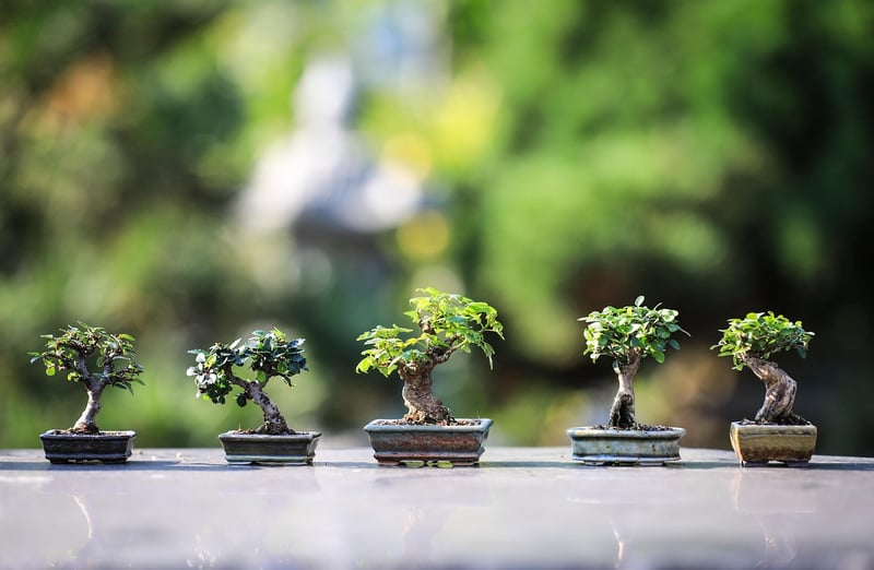 Vertical Garden Kit